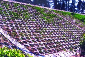 空心植草護(hù)坡磚模具針對護(hù)坡項(xiàng)目施工建議及規(guī)范